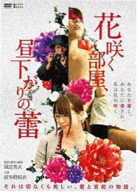 艾米果影院原型图鉴 回声条目